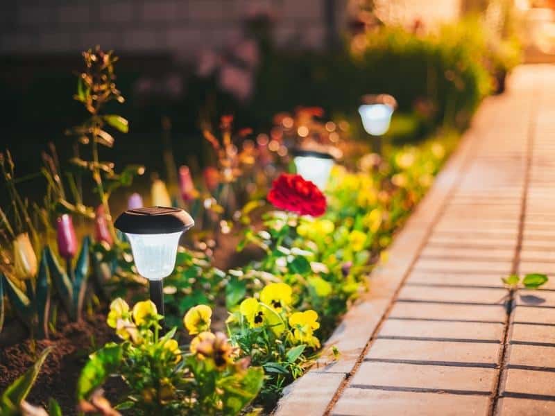 Solar lights next to flowers on a path