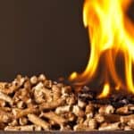 Facts About Biomass (Detailed Report)