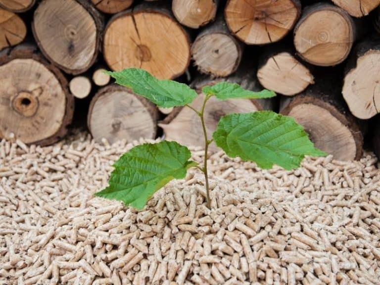 Biomass pellets and logs