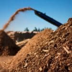 9 Advantages And Disadvantages Of Biomass