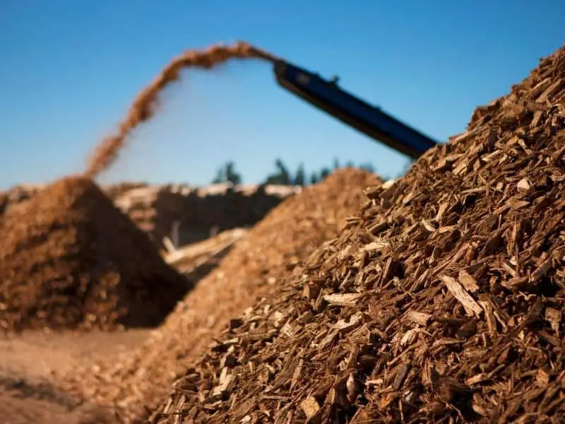 Biomass piles being produced