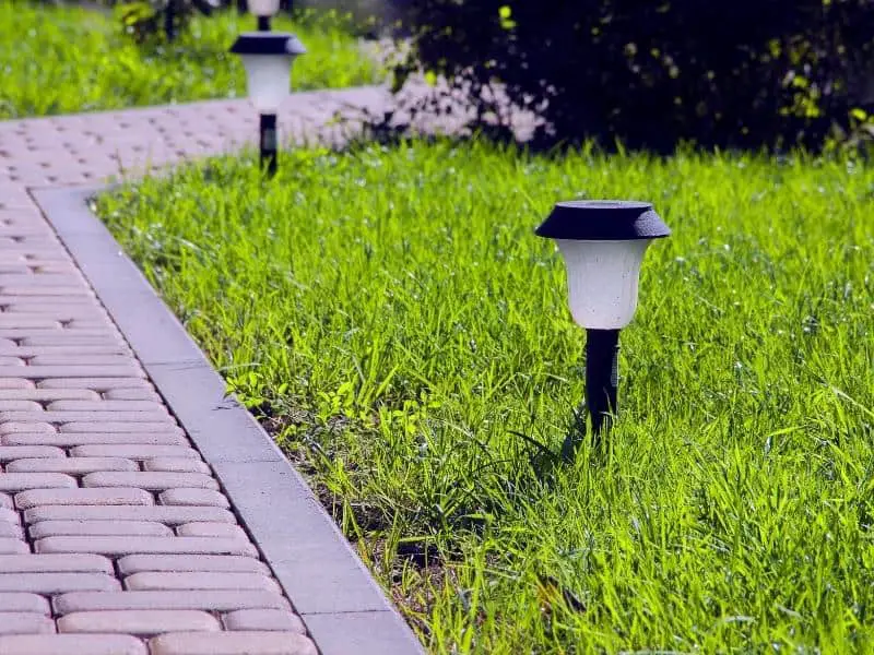 Solar lights in grass by a path