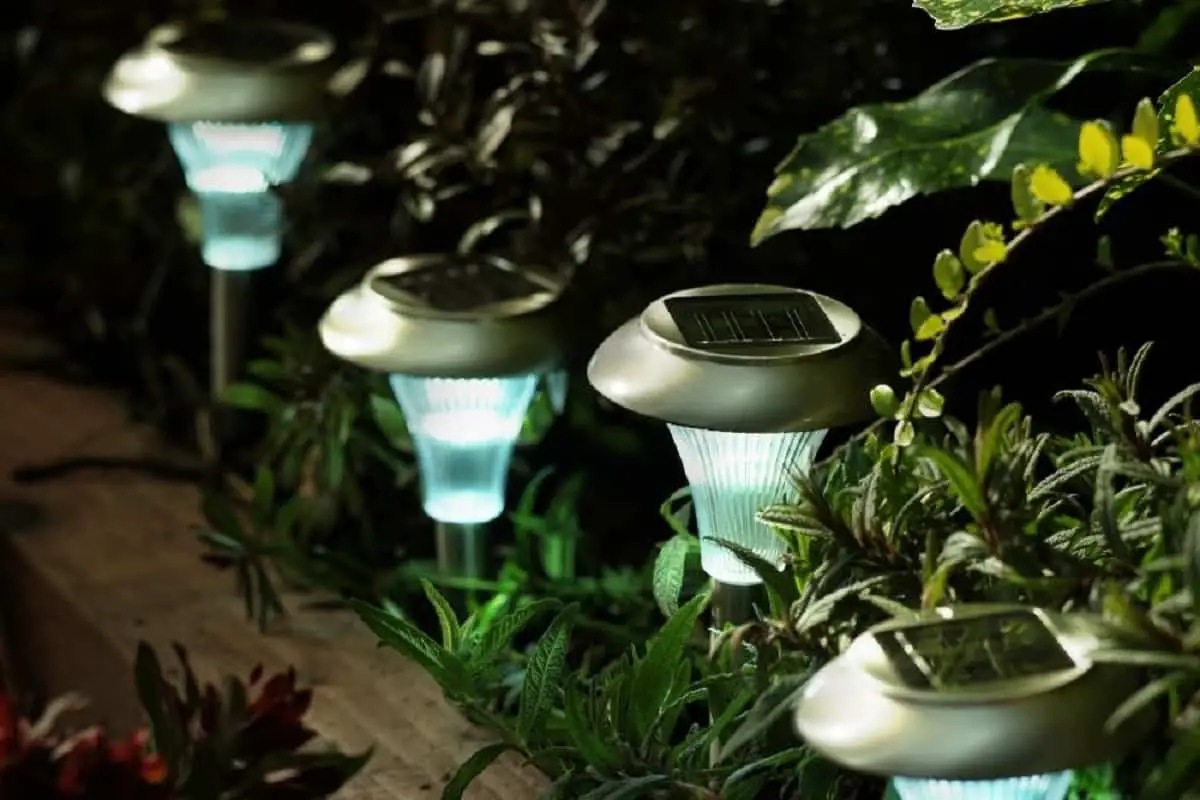 Do Solar Lights Need Direct Sunlight? (Position + Maintain) 2022