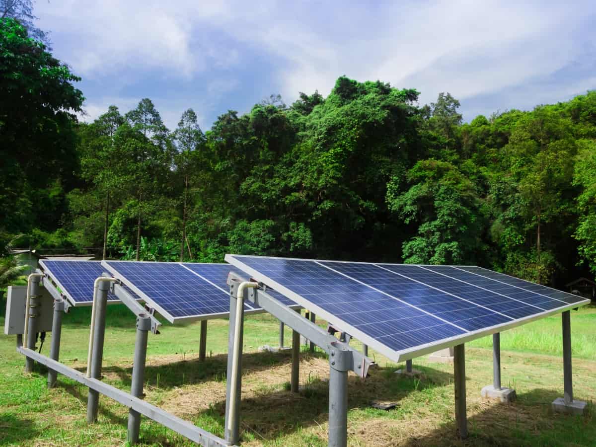 Solar panel on grass in a garden.